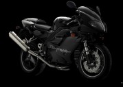 Triumph Daytona 955i Triumph Daytona 955i